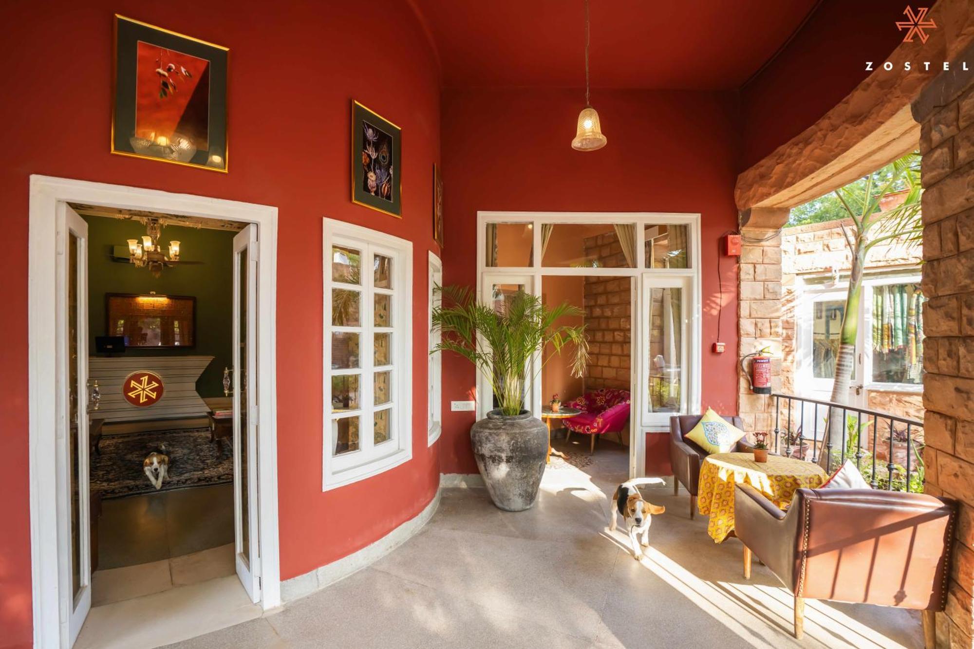 Zostel Jodhpur Pansiyon Jodhpur  Dış mekan fotoğraf